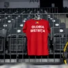 Tricou de antrenament Gloria Bistrița, croială de bărbați, sintetic, roșu — spatele, cu „GLORIA BISTRIȚA" și tricolorul.